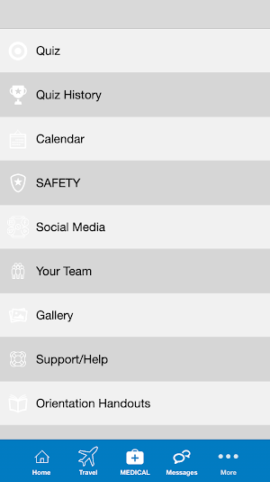 AFS Silver & Gold Screenshot 3