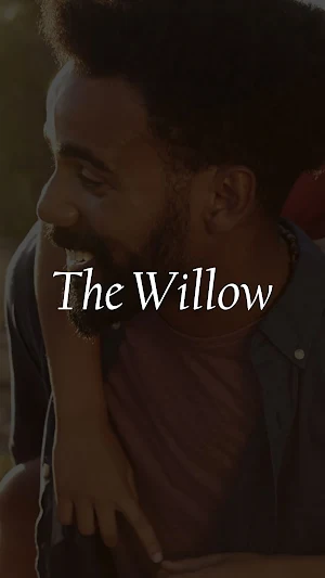 The Willow Greensboro Screenshot 0