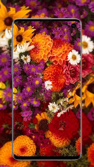 Flower Wallpaper - Colorful Flowers in HD & 4K Screenshot 2
