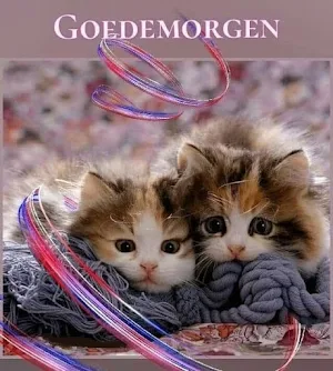 Goedemorgen Screenshot 1