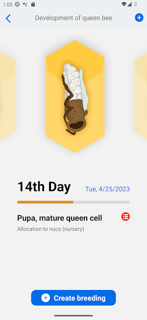 Queen calendar Screenshot 3