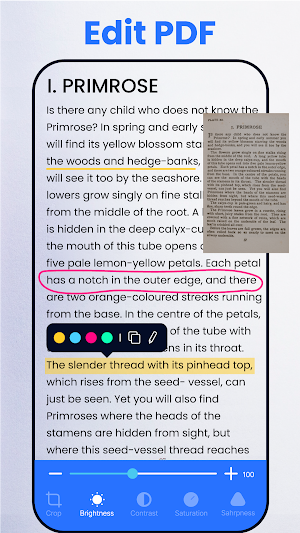 Image to PDF - PDF Converter Screenshot 1