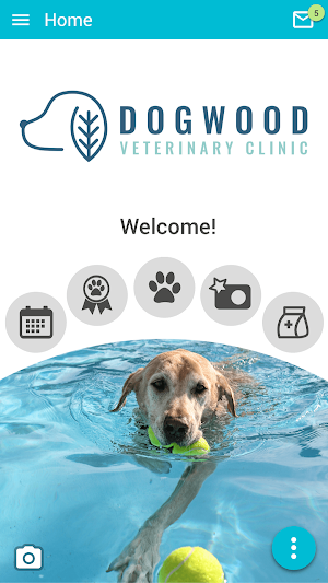Dogwood Vet Screenshot 0