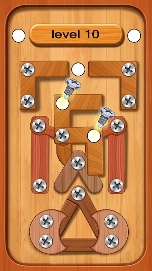 Wood Nuts : Screw Puzzle Screenshot 2