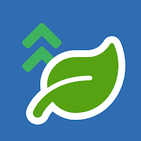 FiberMore