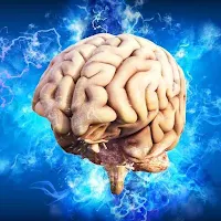 NeuroHarmonics