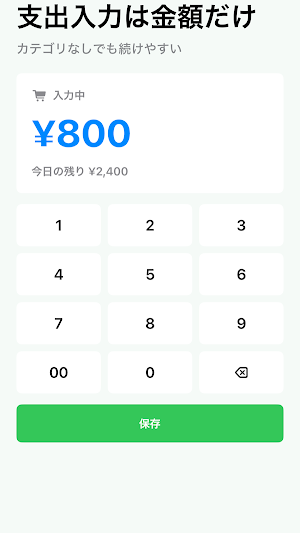 CashFlowDayBudget Screenshot 1