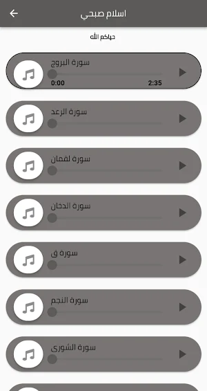 القرآن بصوت اسلام صبحي Screenshot 3