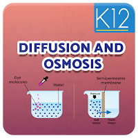 Diffusion and Osmosis