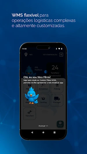Fenix WMS Screenshot 0
