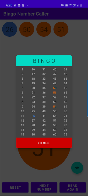 Bingo Number Generator Screenshot 2