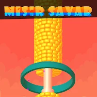 Mısır Savar