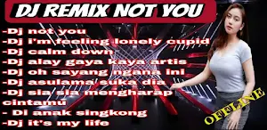 DJ Not You Viral Alan Walker Screenshot 1