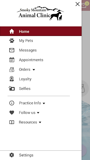 SMOKY MTN VET Screenshot 2