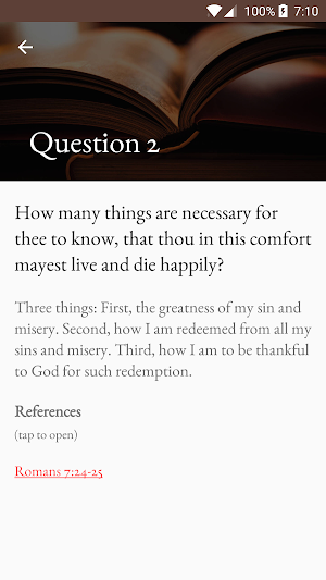 Heidelberg Reader Screenshot 2