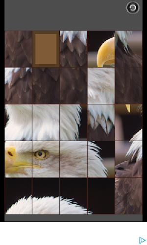 slide puzzle birds Screenshot 1