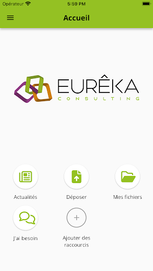 Eurêka Consulting Screenshot 1