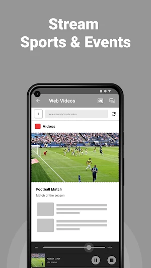 Chromecast Screen Mirroring TV Screenshot 3