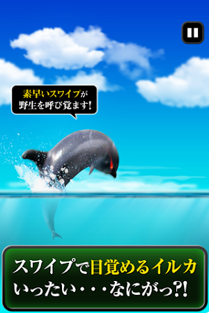Can Dolphin Stand? Screenshot 1