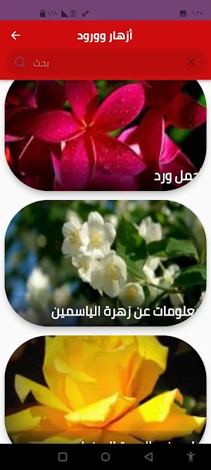 أزهار وورود Screenshot 3