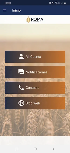 Roma Screenshot 1