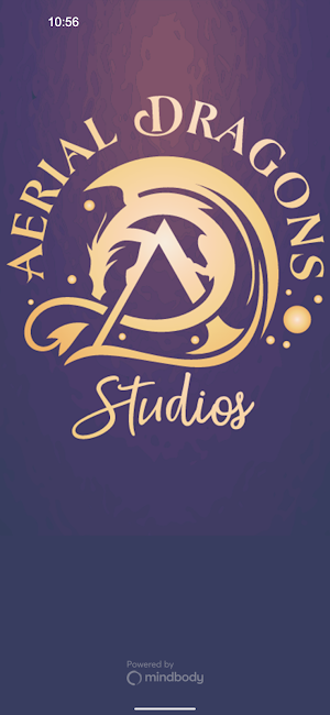 Aerial Dragons Studios Screenshot 0