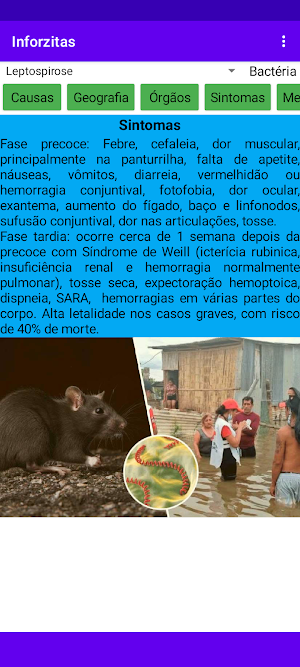 Inforzitas Screenshot 0