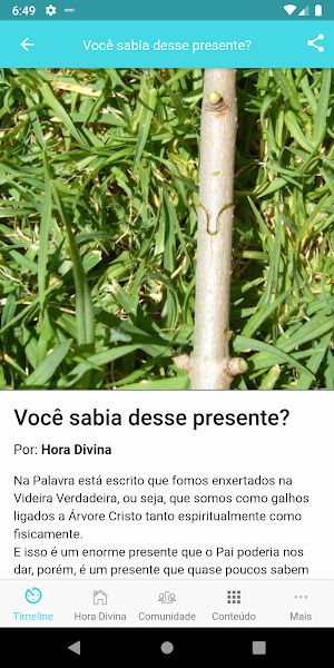 Hora da Adoração Screenshot 1