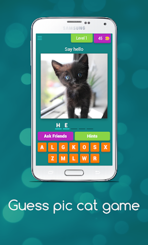 Guess Cute Cat Game Screenshot 0