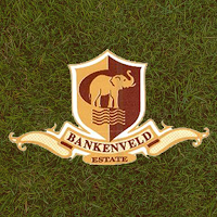 Bankenveld Eco