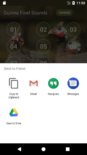 Guinea Fowl Sounds & Calls Screenshot 3