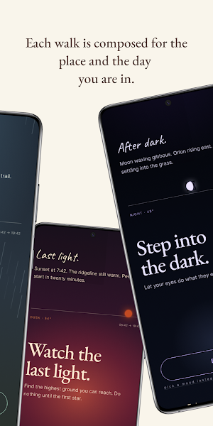 Rewyld Screenshot 2