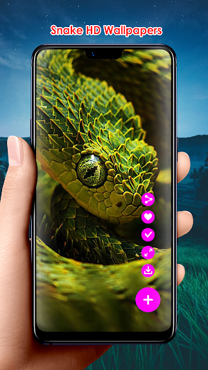 Snake HD Wallpapers Screenshot 2