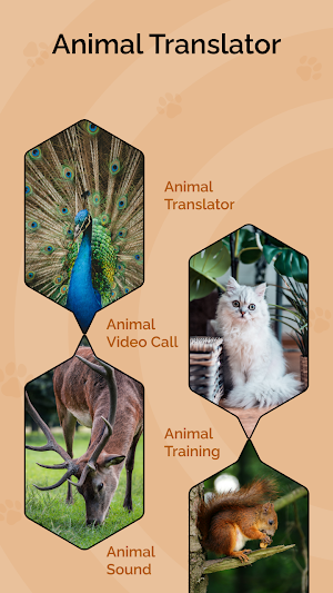 All Animal Language Translator Screenshot 1