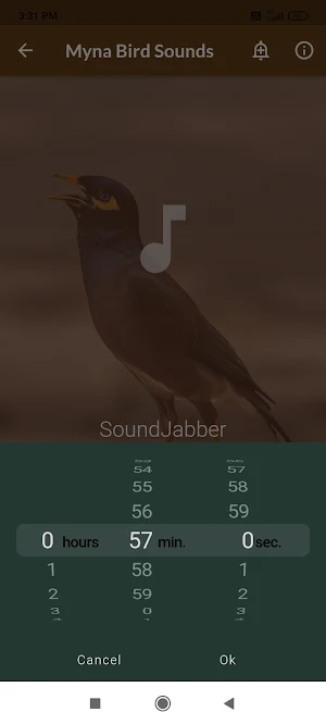 Mynas Bird Sounds Screenshot 2