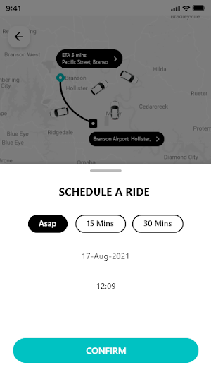 Amigo's Taxi Screenshot 0