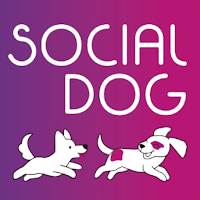 Socialdog
