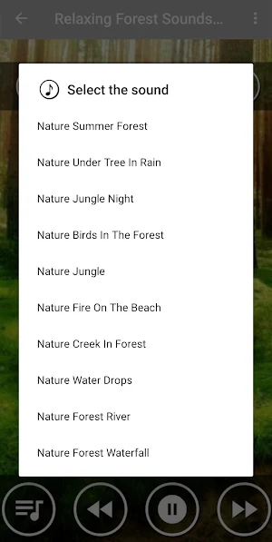 Forest and Nature Sounds for Relaxation Screenshot 1