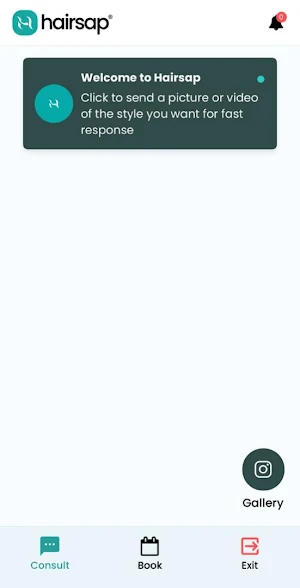 Hairsap Screenshot 1