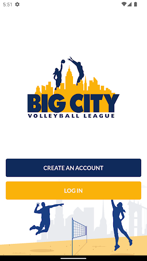 Big City Volleyball Screenshot 0