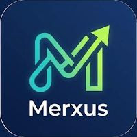 Merxus: Gestión y Mercado