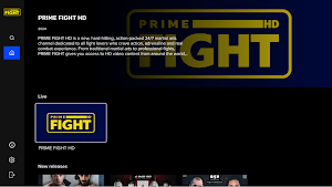 Prime Fight Screenshot 3