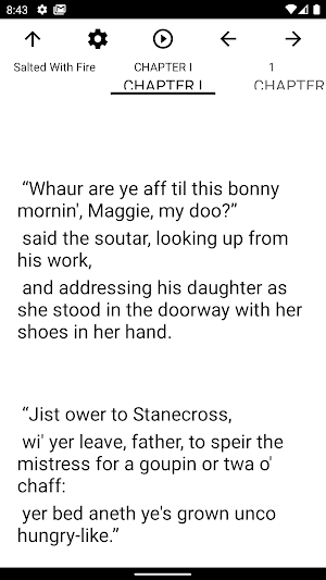 Book, Salted With Fire Screenshot 1