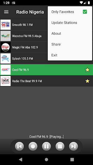 RADIO NIGERIA : Online Nigerian radios Screenshot 2