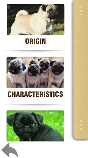 Pug - Pocket Guide Screenshot 1
