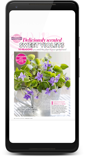 Modern Gardens Magazine Screenshot 3