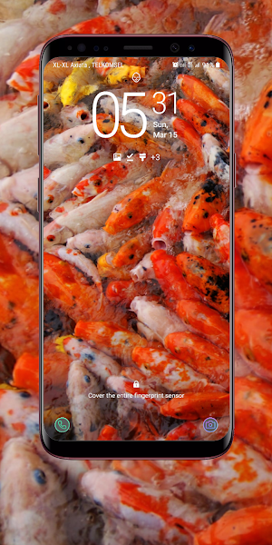 Koi Wallpaper Screenshot 3