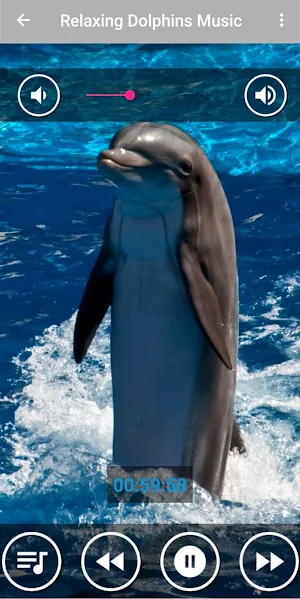 Relaxing Dolphin Sounds - Dolphin singing Screenshot 3