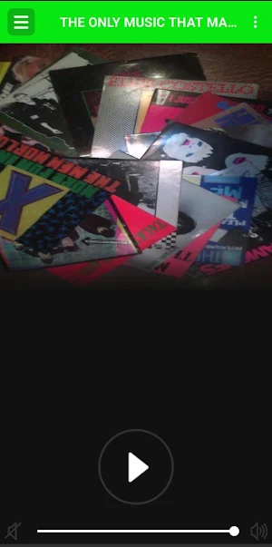 THE ONLY MUSIC THAT MATTERED! Screenshot 2