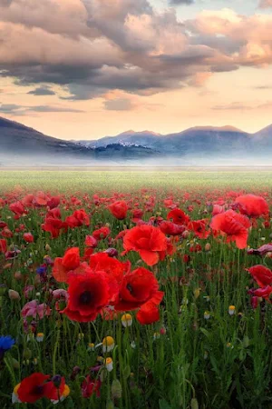 Beautiful landscapes Screenshot 0